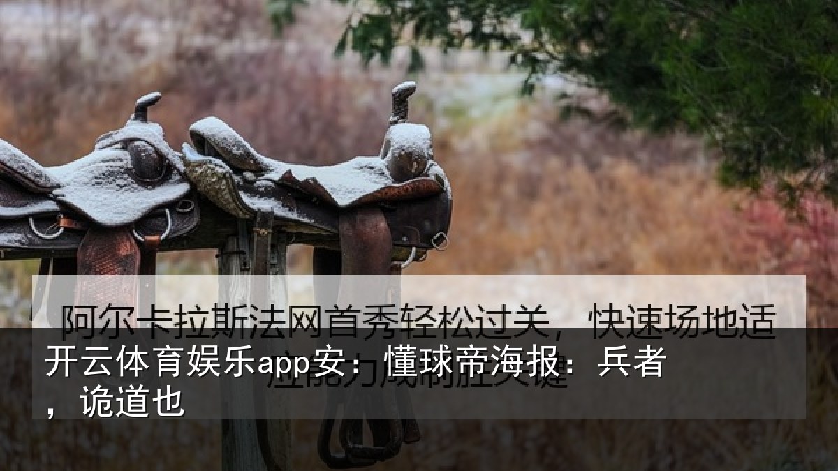 开云体育娱乐app安：懂球相关情况