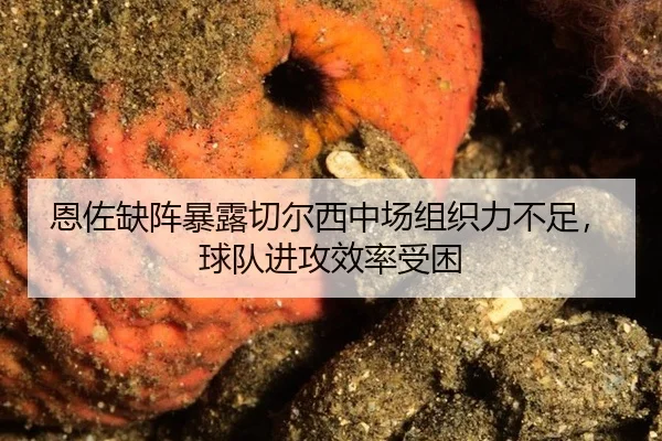 en-zuo-que-zhen-bao-lu-qie-er-xi-zhong-chang-zu-zhi-li-bu-zu-qiu-dui-jin-gong-xiao-lv-shou-kun-2-416.jpg
